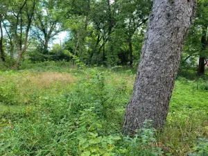 26642 N Il Route 83 Mundelein IL 60060 MLS #MRD12464576 42 broker reciprocity