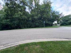 Lot 1 Asbury Avenue Fox River Grove IL 60021 MLS #MRD12429417 41 MLS #MRD12429417 image #0
