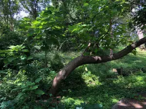 Lot 34 & 35 Cedar Creek Drive Johnsburg IL 60051 MLS #MRD12391883 42 broker reciprocity