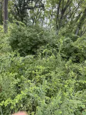 Lot 1 View Street West Dundee IL 60118 MLS #MRD12433925 46 broker reciprocity