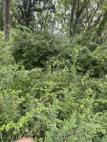 10 Chateau Drive West Dundee IL 60118 MLS #MRD12445396 41 MLS #MRD12445396 image #0