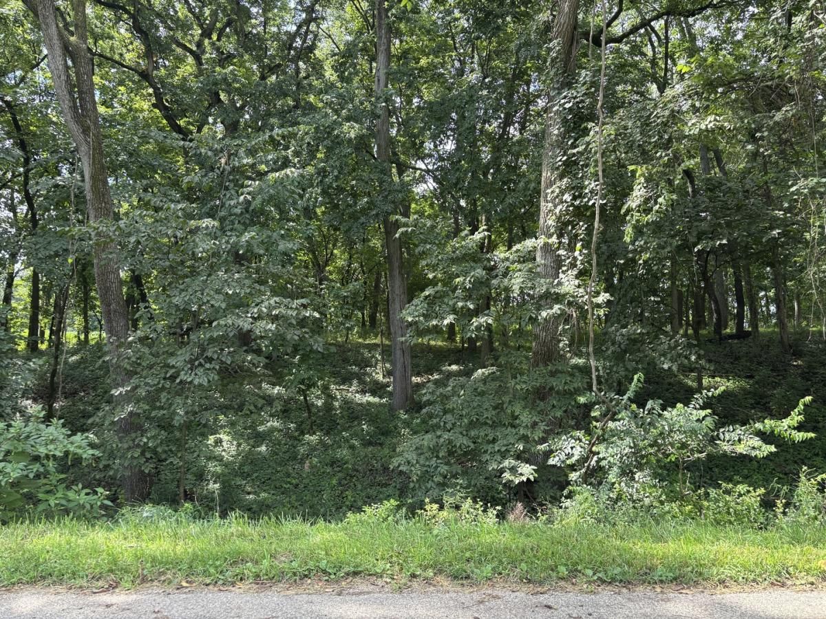 MLS #MRD12448869 image #0