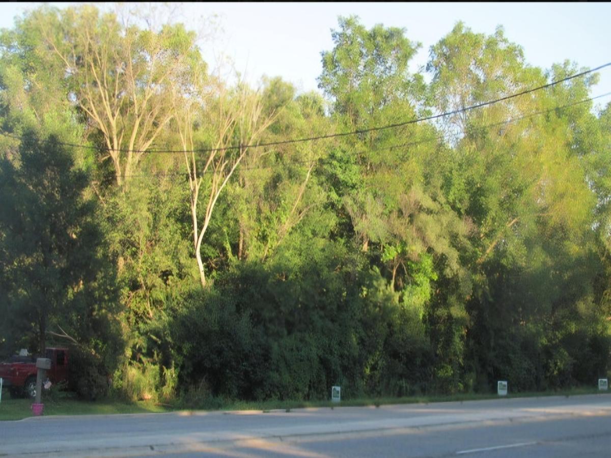 5609 Lincoln Avenue Lisle IL 60532 MLS #MRD12459692 25 MLS #MRD12459692 image #0