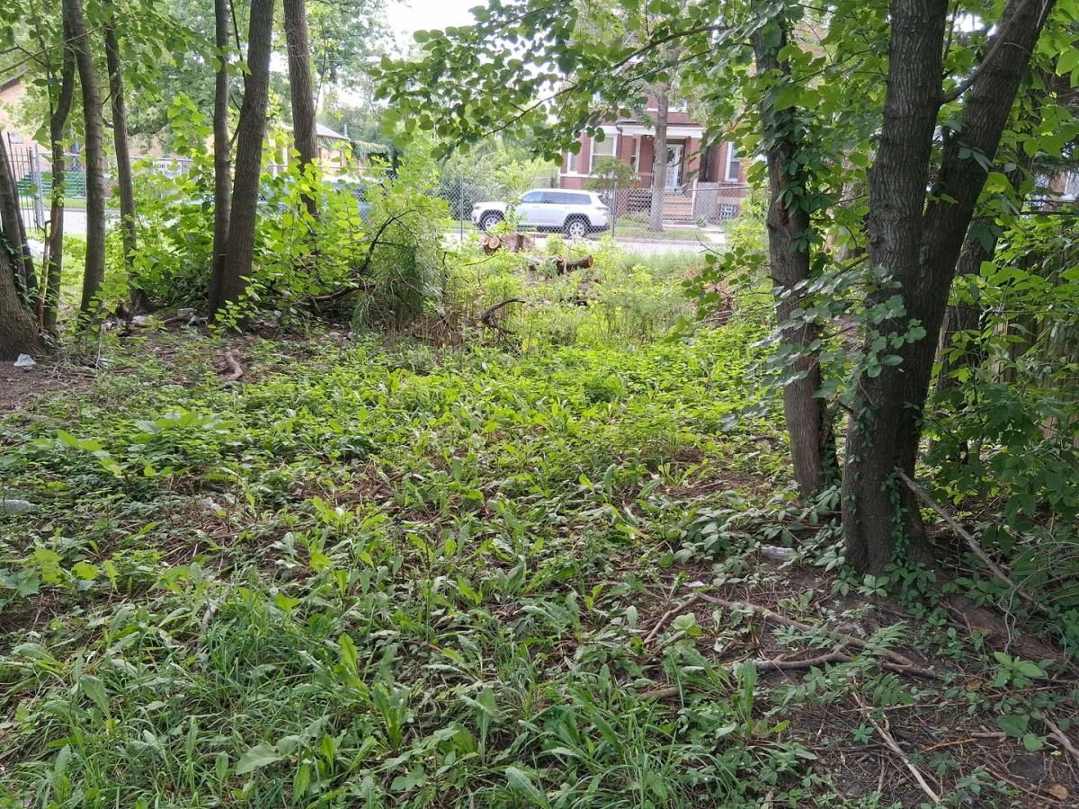 MLS #MRD12467856 image #0