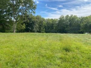 MLS #MRD12468109 image #0