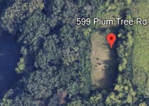 599 N Plum Tree Road Barrington IL 60010 MLS #MRD12468667 41 MLS #MRD12468667 image #0