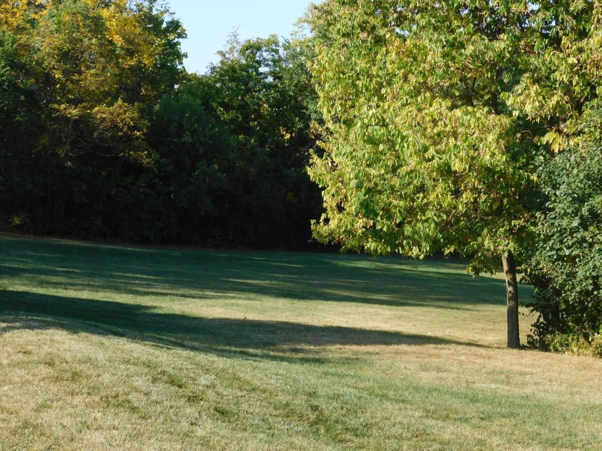 664 Oak Court Marseilles IL 61341 MLS #MRD12476459 25 MLS #MRD12476459 image #0