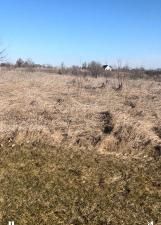 4713 Cherry Road Oswego IL 60543 MLS #MRD12487414 21 MLS #MRD12487414 image #0