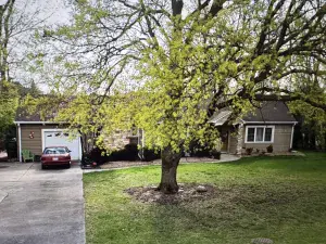 3229 Maple Avenue Brookfield IL 60513 MLS #MRD12460521 54 broker reciprocity