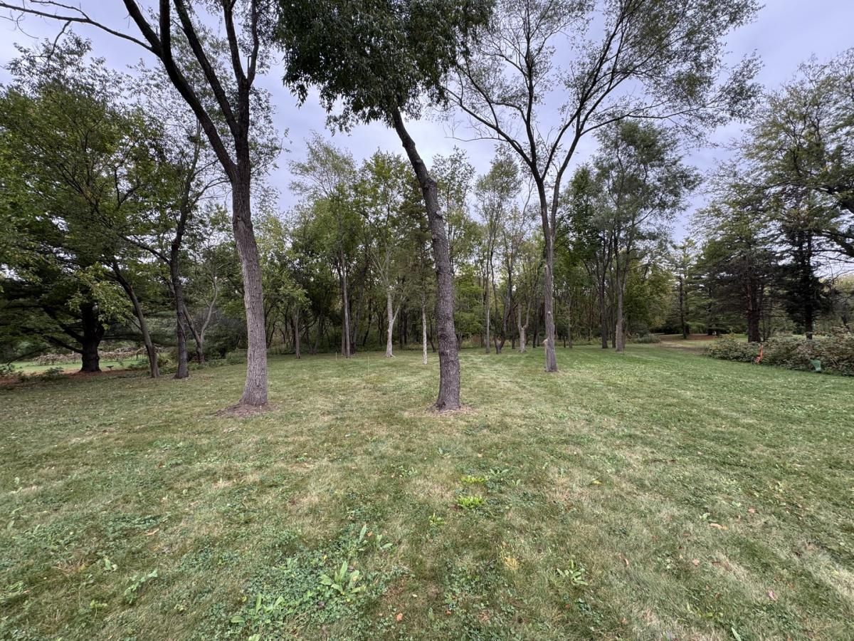 42W613 Meadowsweet Drive Elburn IL 60119 MLS #MRD12495404 21 MLS #MRD12495404 image #0