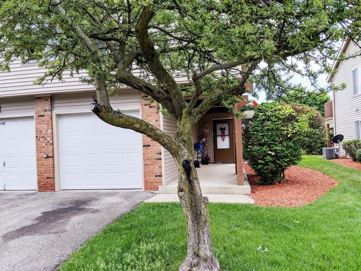 15 Marywood Lane #C Bolingbrook IL 60440 MLS #MRD12498402 45 MLS #MRD12498402 image #0