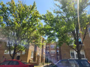 6634 S Greenwood Avenue #1A Chicago IL 60637 MLS #MRD12475235 32 broker reciprocity