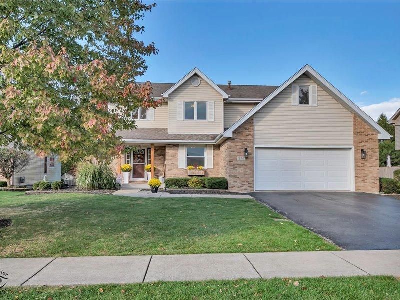 2319 Jackson Branch Drive New Lenox IL 60451 MLS #MRD12500541 45 MLS #MRD12500541 image #0