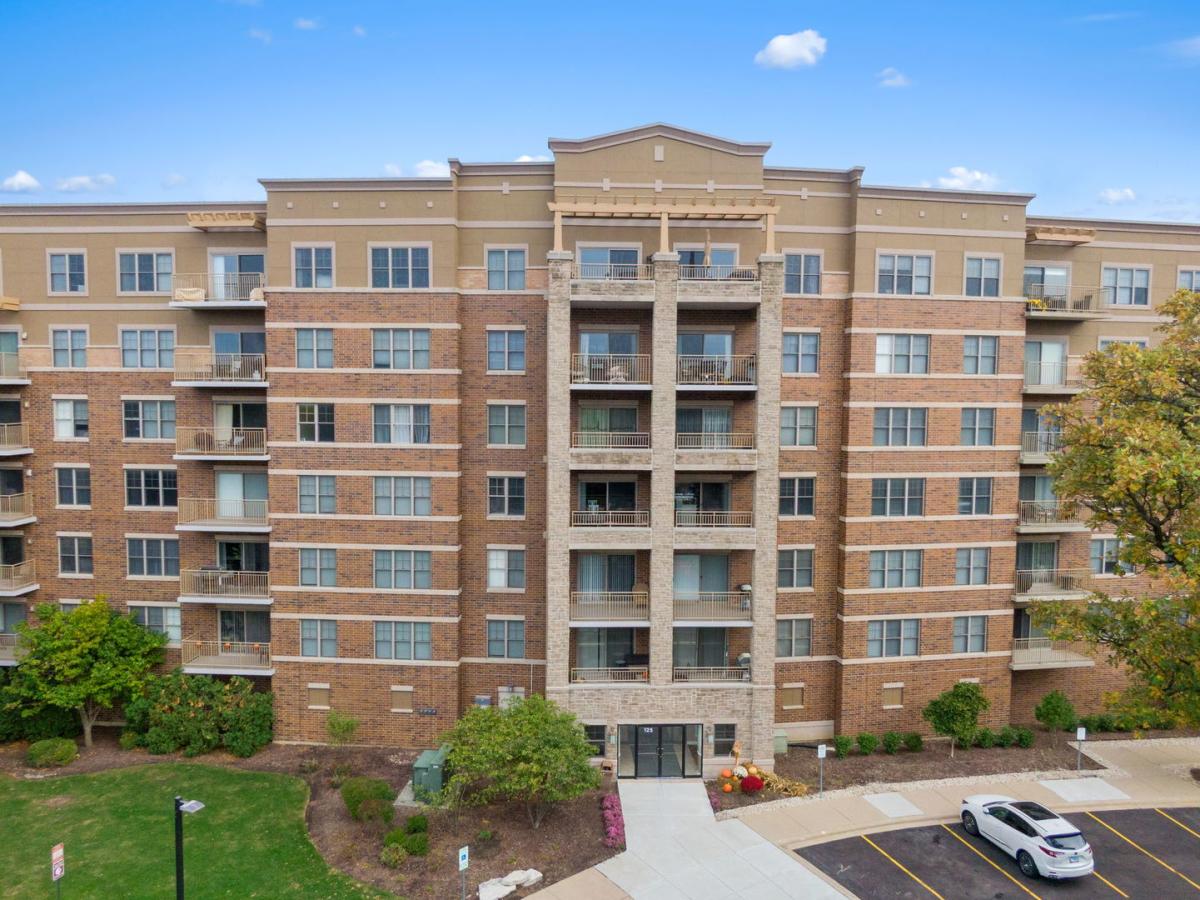 125 Lakeview Drive #313 Bloomingdale IL 60108 MLS #MRD12501209 41 MLS #MRD12501209 image #0
