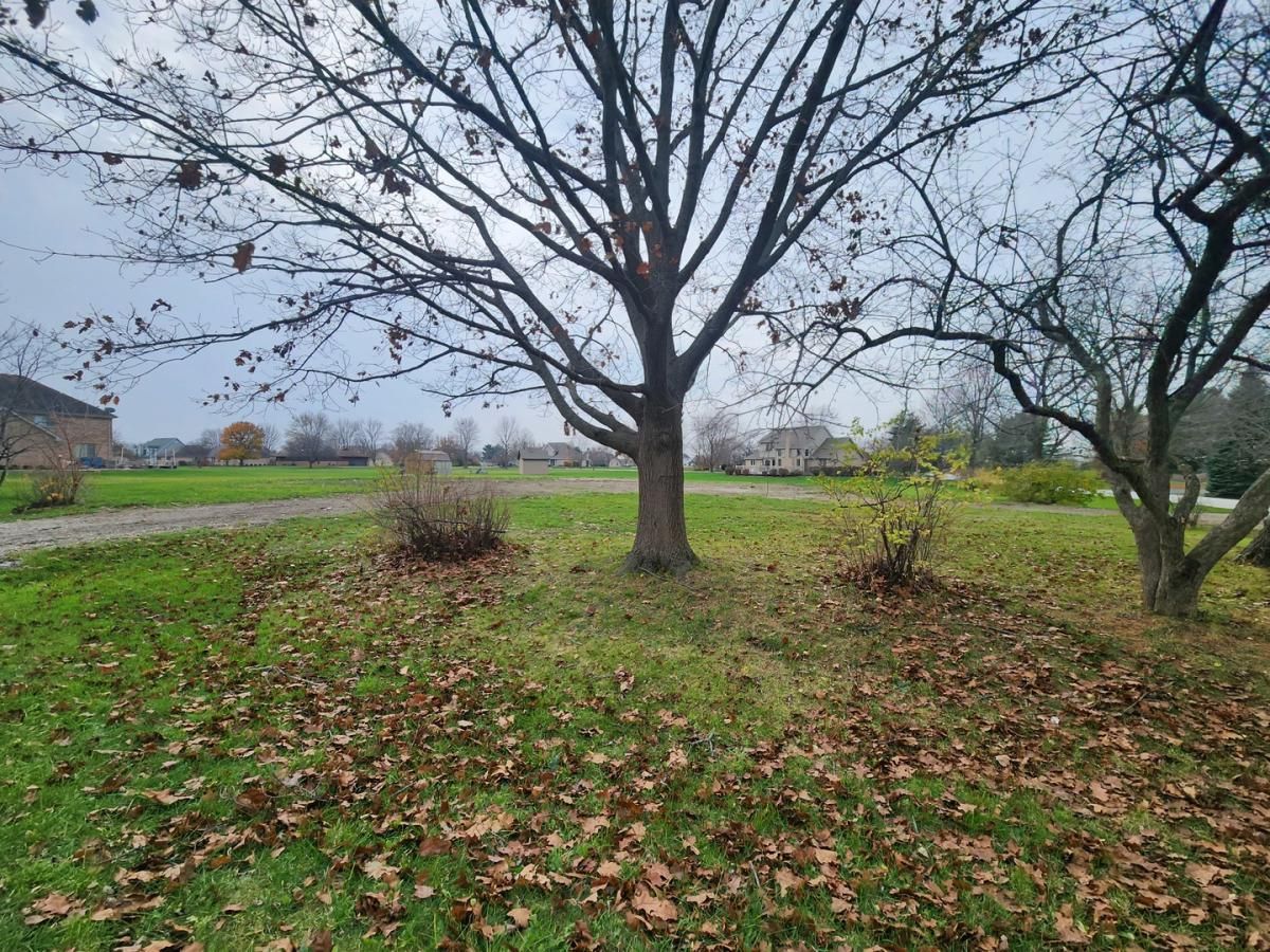 26114 S Victoria Lane Crete IL 60417 MLS #MRD12503675 41 MLS #MRD12503675 image #0