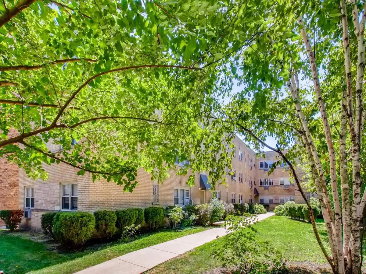 1709 W Estes Avenue #2S Chicago IL 60626 MLS #MRD12504063 29 MLS #MRD12504063 image #0