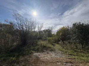 6857 Ellis Avenue Long Grove IL 60047 MLS #MRD12504680 50 broker reciprocity