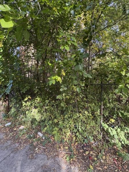 MLS #MRD12506784 image #0