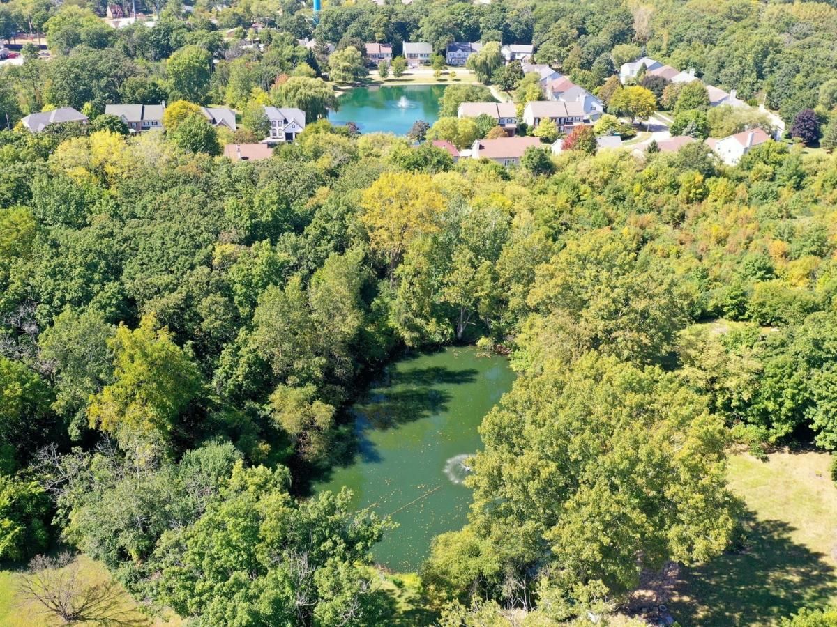 18238 W Gages Lake Road Grayslake IL 60030 MLS #MRD12508271 9 MLS #MRD12508271 image #0