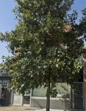 MLS #MRD12511508 image #0