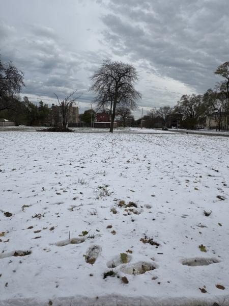 MLS #MRD12521670 image #0