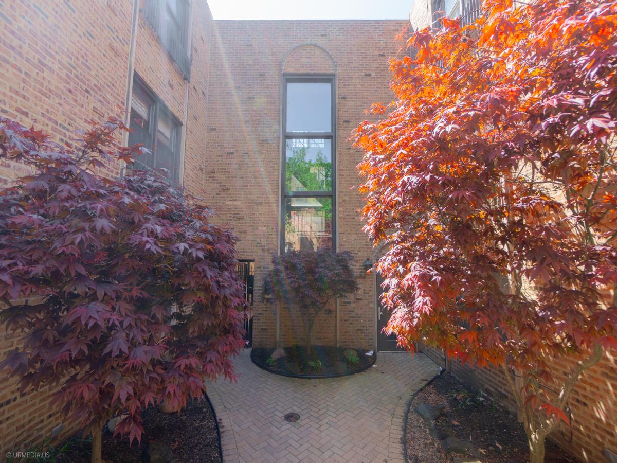 MLS #MRD12523406 image #0