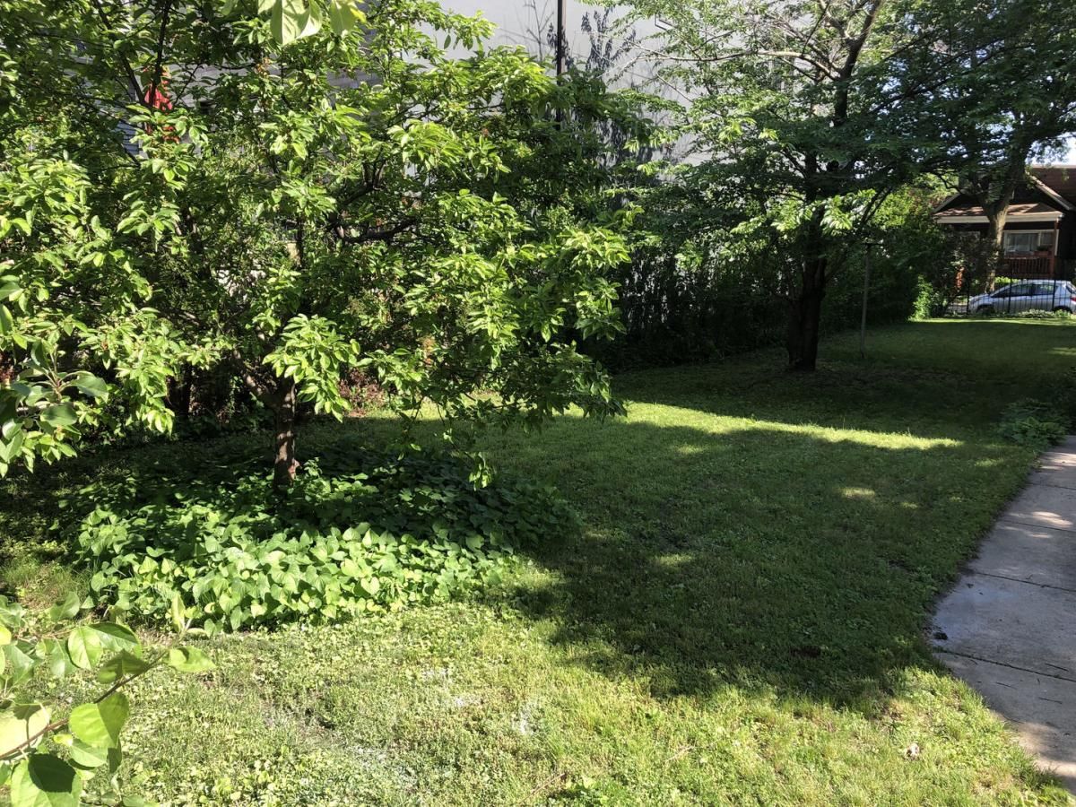 MLS #MRD12556143 image #0