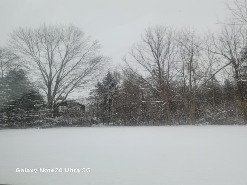 MLS #MRD12557435 image #0