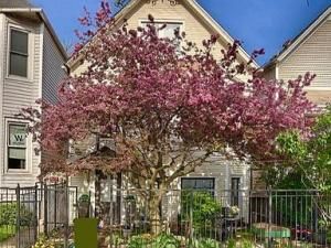 MLS #MRD12557917 image #0