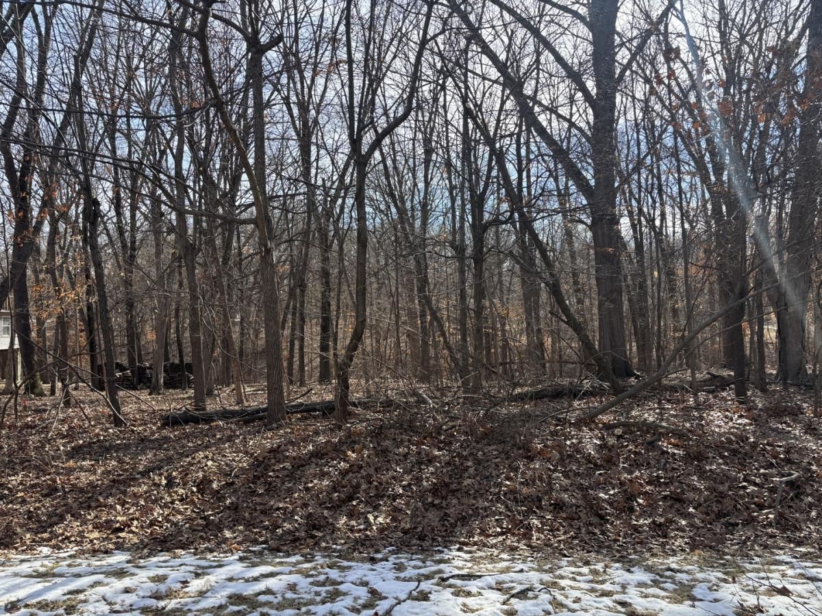 MLS #MRD12558027 image #0