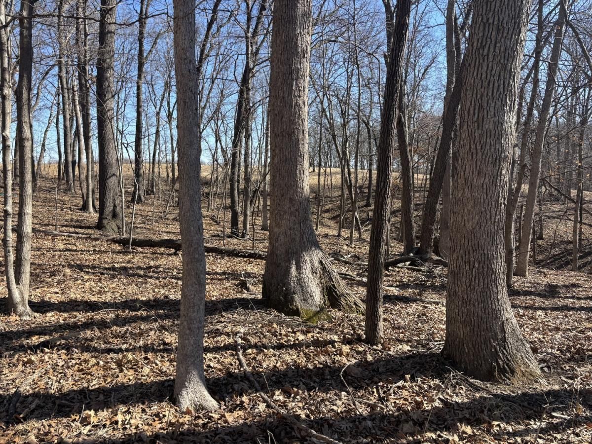 MLS #MRD12574927 image #0