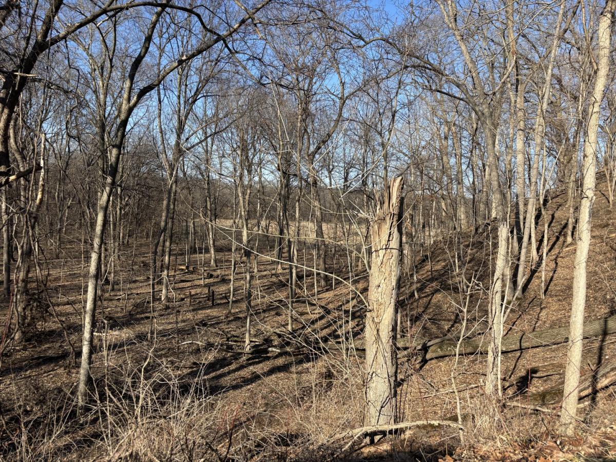 MLS #MRD12593264 image #0