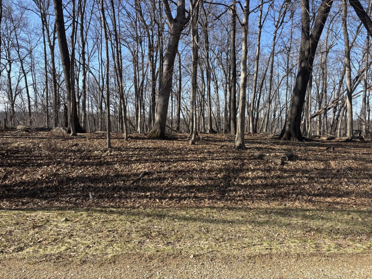 MLS #MRD12593300 image #0