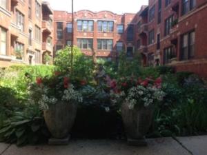 MLS #MRD12596637 image #0