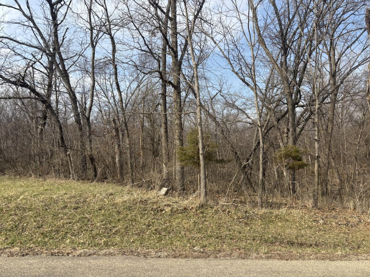 MLS #MRD12601828 image #0