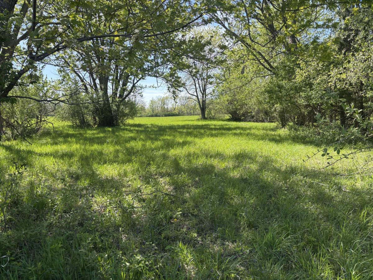 MLS #MRD12619838 image #0