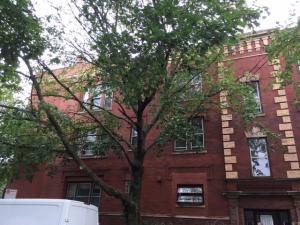 MLS #MRD12692354 image #0