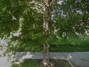 MLS #MRD12719167 image #0