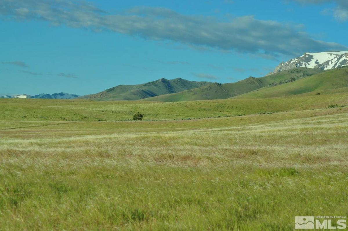 MLS #220010152 image #0