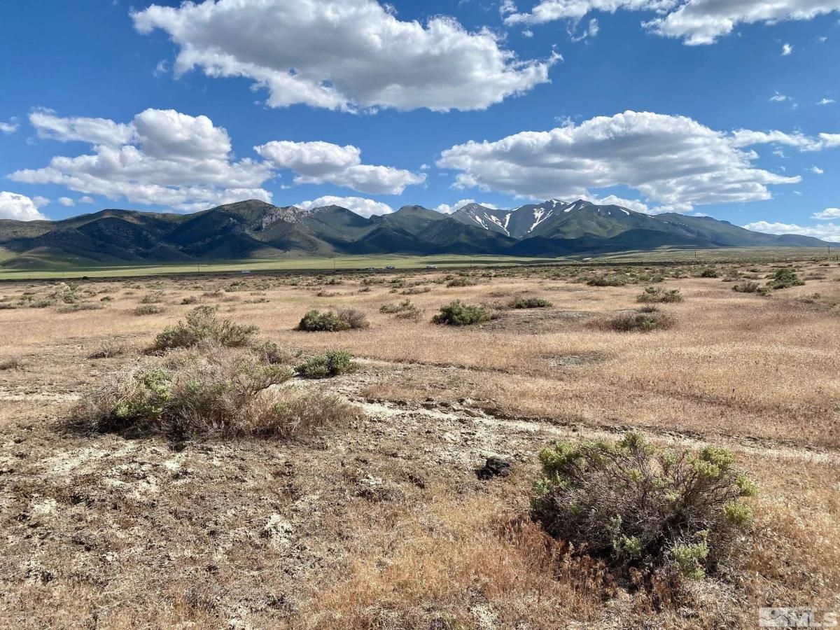 MLS #230007960 image #0