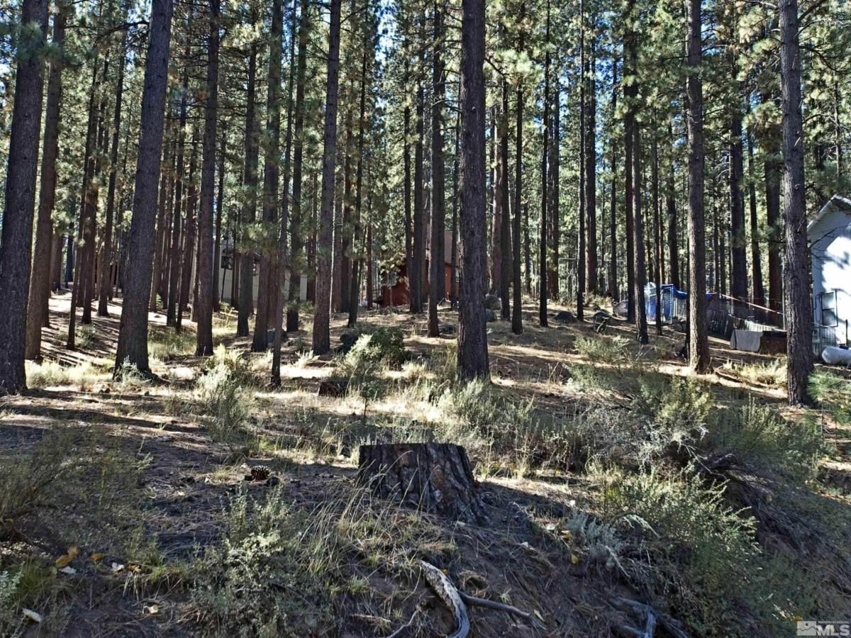 MLS #230008801 image #0