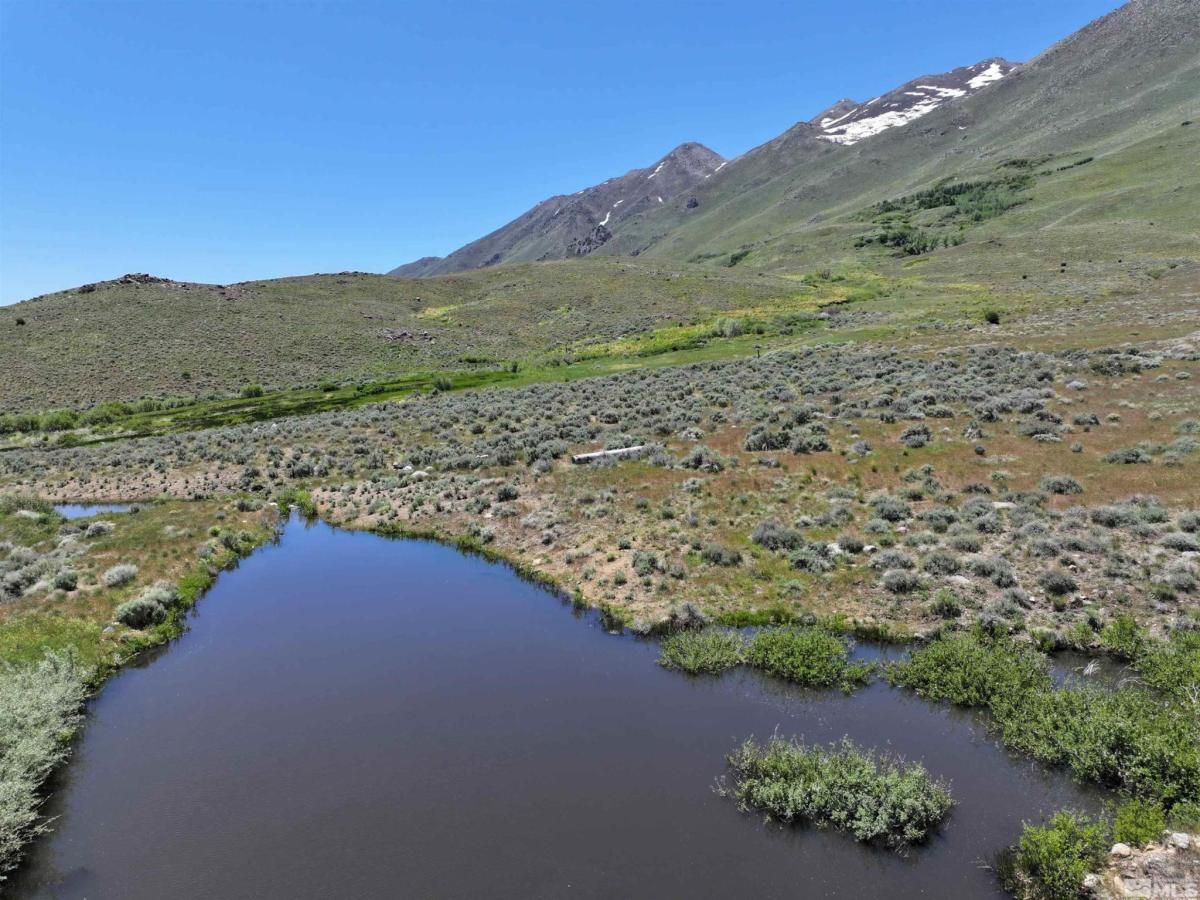 MLS #240008879 image #0