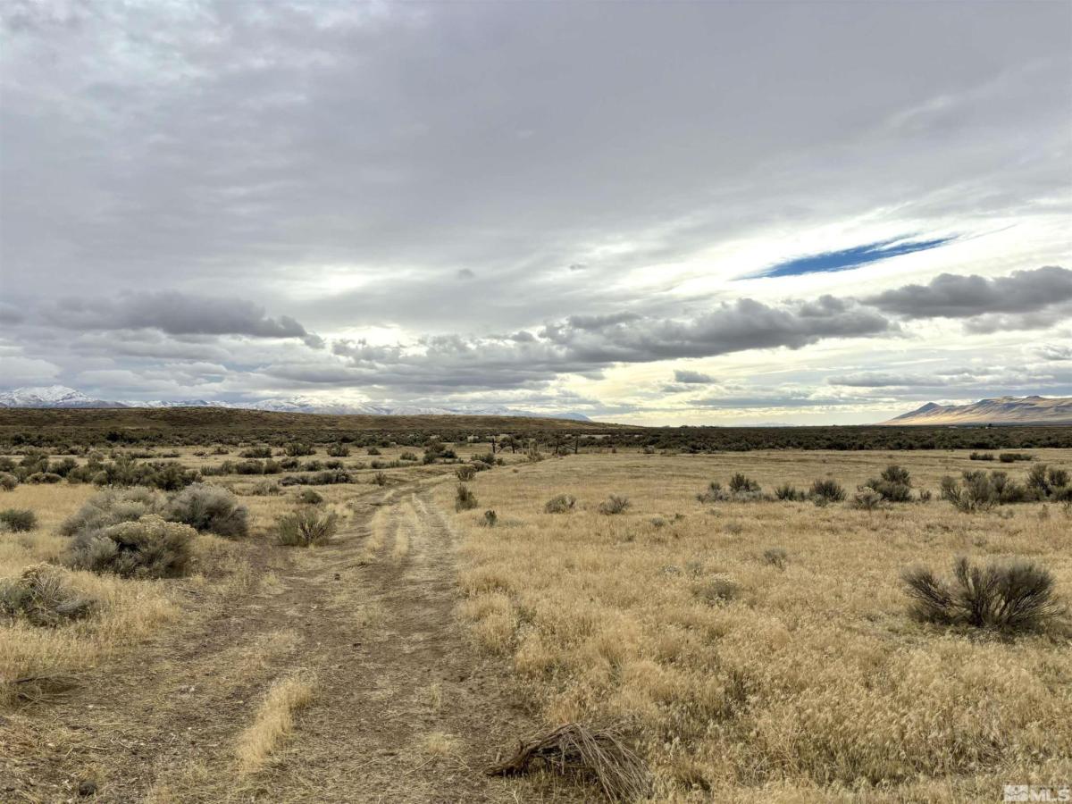 MLS #240014838 image #0