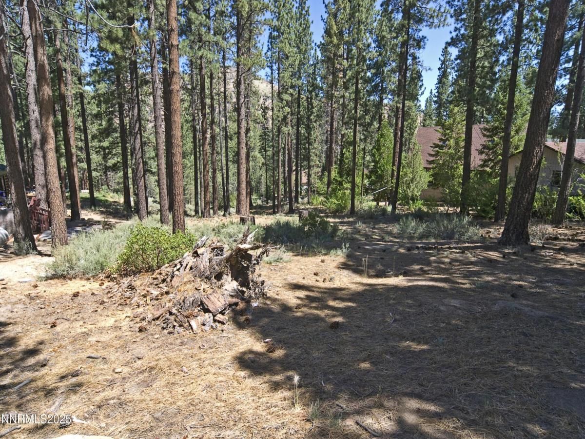 MLS #250003510 image #0