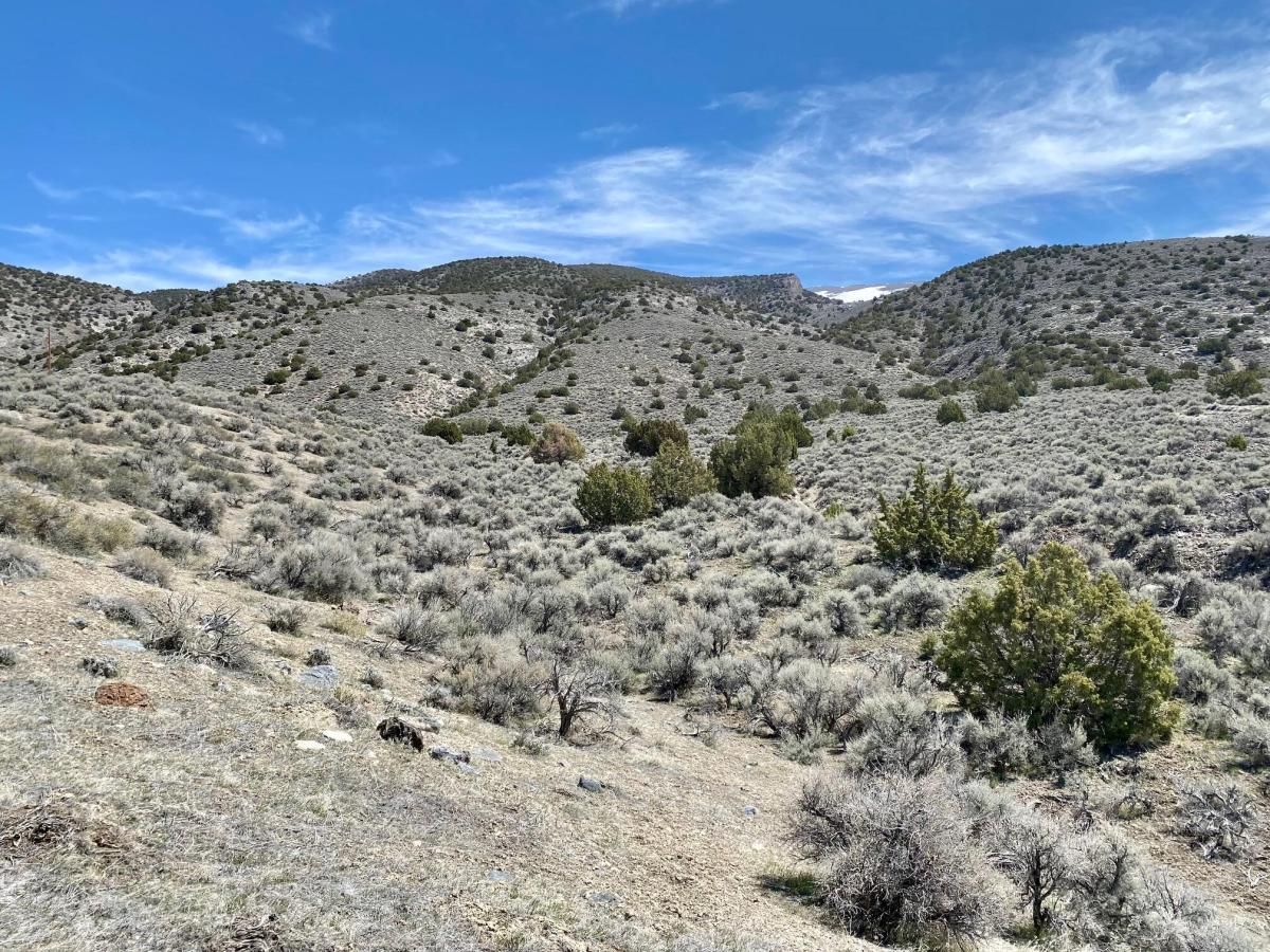 MLS #250050014 image #0