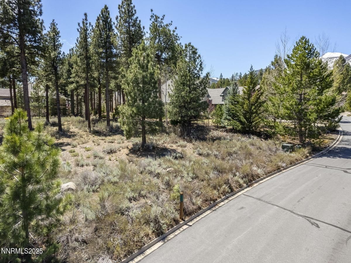 MLS #250050425 image #0