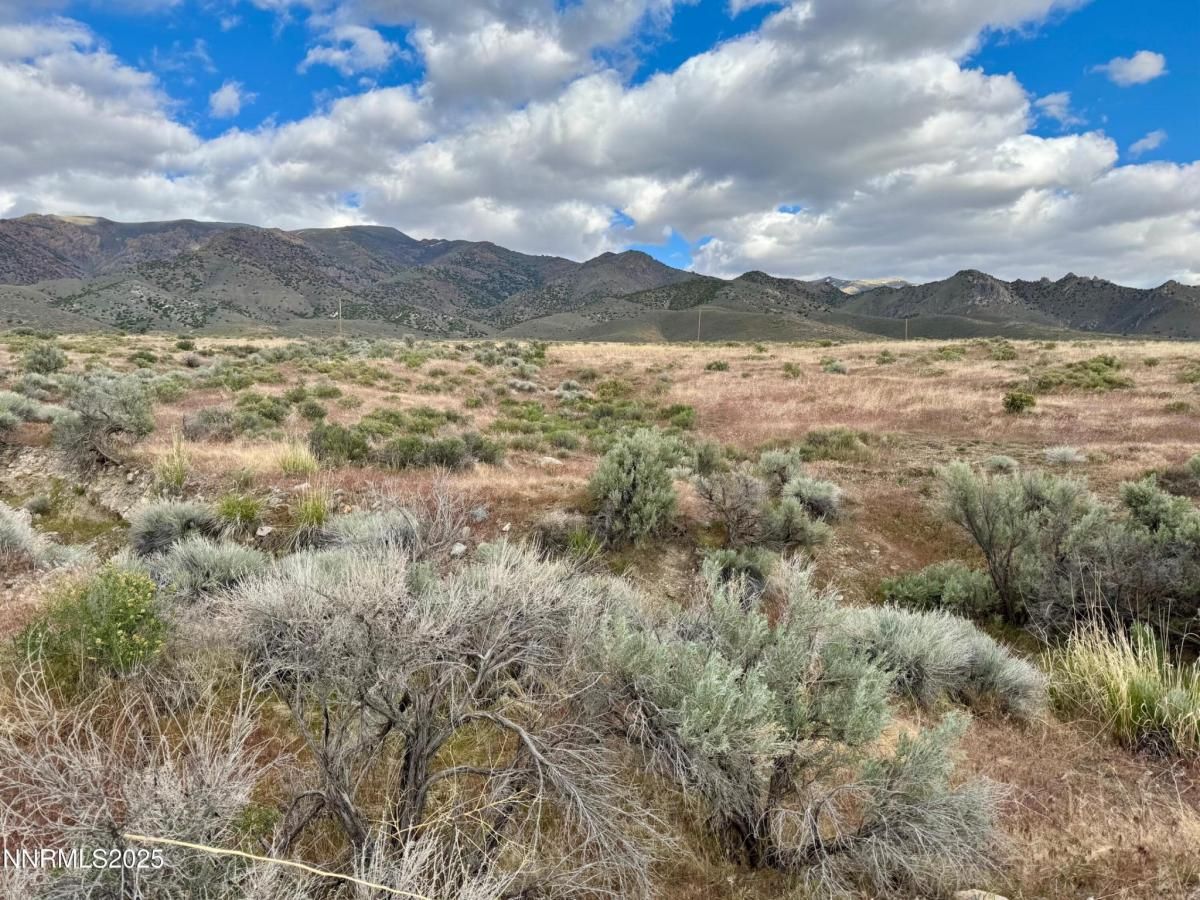 MLS #250050752 image #0