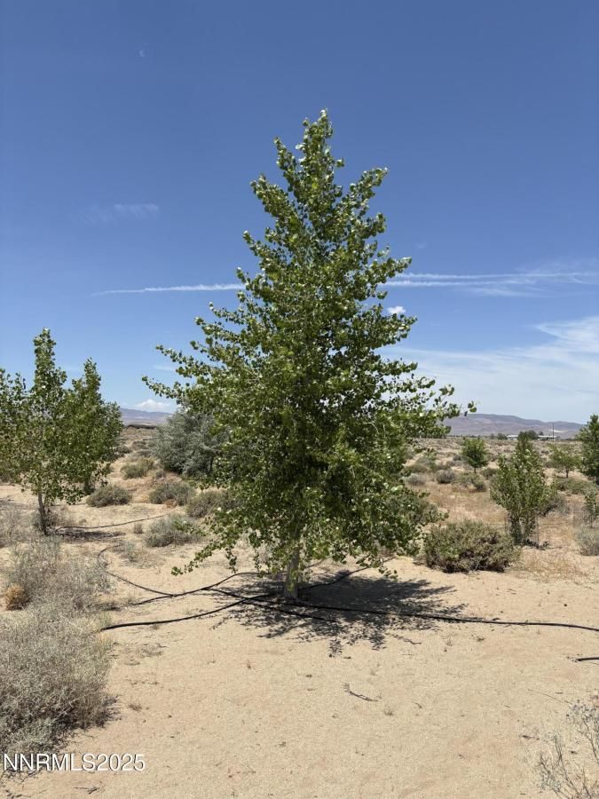 MLS #250051274 image #0