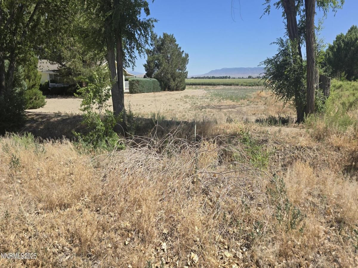 MLS #250051675 image #0