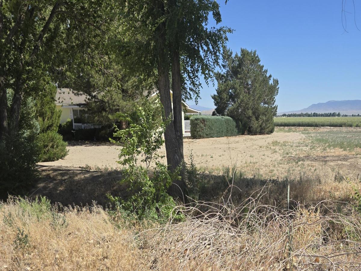 MLS #250051675 image #0